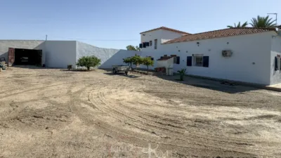Rustic Finca in La Algarrobina photo 24