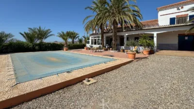 Rustic Finca in La Algarrobina photo 27