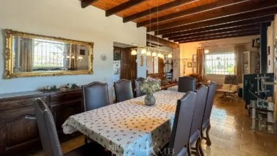 Rustic Finca in La Algarrobina photo 4