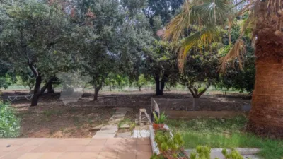 House in El Palmar - los Molinos photo 35