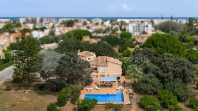 House in El Palmar - los Molinos photo 37
