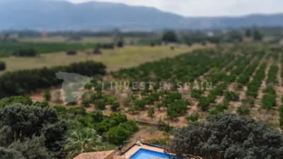 House in El Palmar - los Molinos photo 38