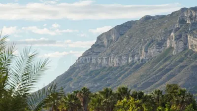 House in El Palmar - los Molinos photo 40