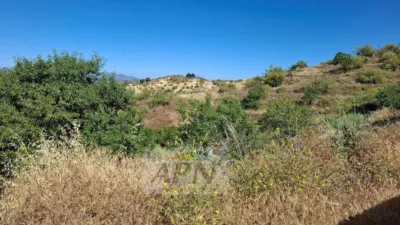 Rustic Finca in Álora photo 37