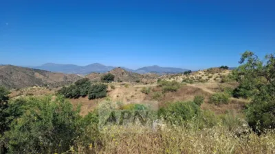 Rustic Finca in Álora photo 40
