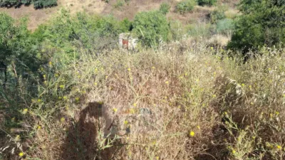 Rustic Finca in Álora photo 41