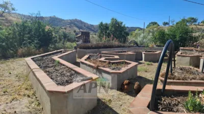 Rustic Finca in Álora photo 43