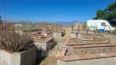 Rustic Finca in Álora photo 44