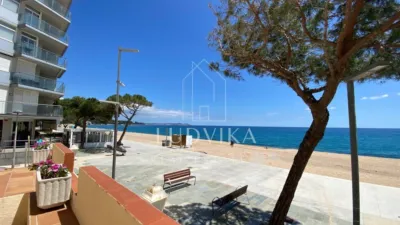Loft in Castell d'Aro, Platja d'Aro and s'Agaró photo 2