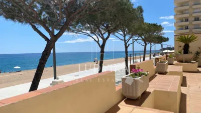 Loft in Castell d'Aro, Platja d'Aro and s'Agaró photo 3