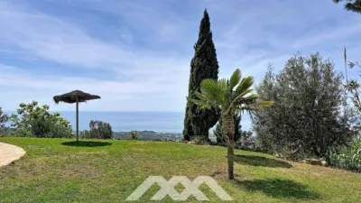 House in Algarrobo photo 35