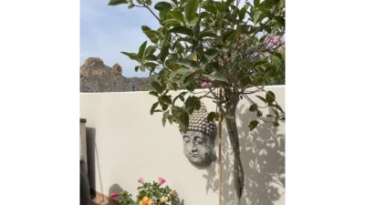 Apartment on the street photo 25