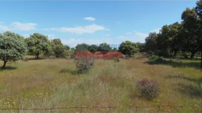 Finca rústica en venta en Peraleda de La Mata - Vista 4