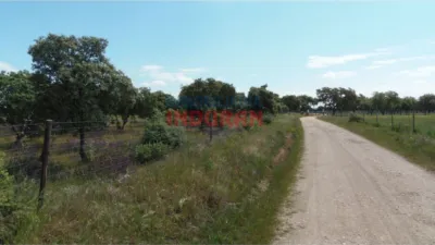 Finca rústica en venta en Peraleda de La Mata - Vista 5