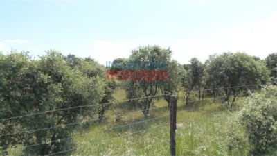 Finca rústica en venta en Peraleda de La Mata - Més