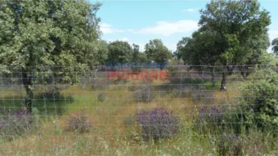 Rustic farm in Peraleda de la Mata photo 5