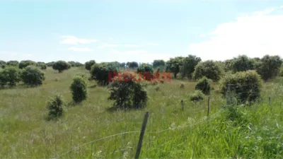 Rustic farm in Peraleda de la Mata photo 6