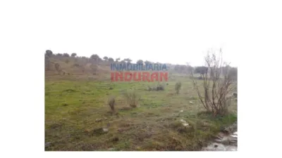 Rustic farm in Villar del Pedroso photo 4