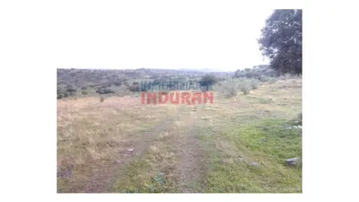 Rustic farm in Villar del Pedroso photo 9