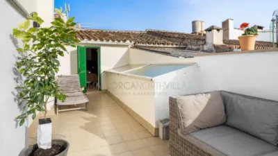 House in Pollença photo 17