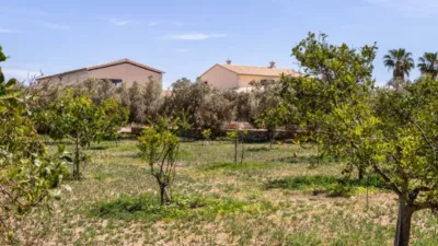 Rustic property in Son Ferriol photo 15