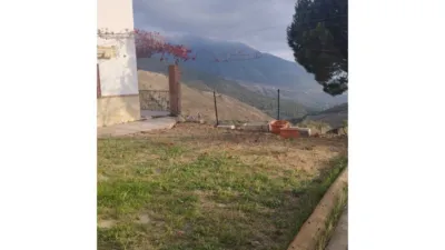 Rustic Finca in Alcaucín photo 11
