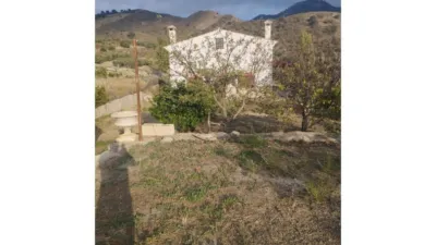 Rustic Finca in Alcaucín photo 12