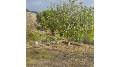 Rustic Finca in Alcaucín photo 13