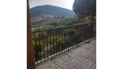 Rustic Finca in Alcaucín photo 21