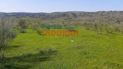 Rustic farm in Valdelacasa de Tajo photo 3