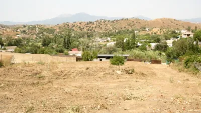 Rustic Finca in Coín photo 8