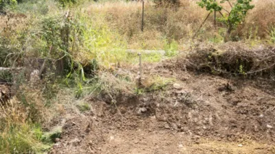 Rustic Finca in Coín photo 9