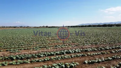 Rustic farm on Calle Poligono 186 Paraje 3314 El Salar photo 2