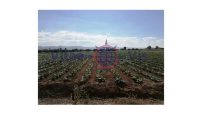 Rustic farm on Calle Poligono 186 Paraje 3314 El Salar photo 5