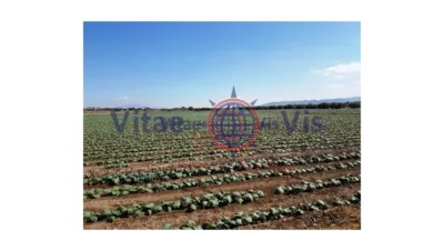 Rustic farm on Calle Poligono 186 Paraje 3314 El Salar photo 6