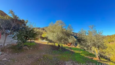 Rustic Finca in Coín photo 10