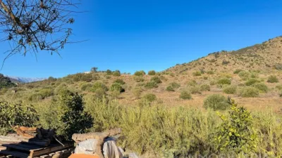 Rustic Finca in Coín photo 16