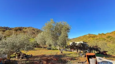 Rustic Finca in Coín photo 18