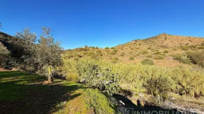 Rustic Finca in Coín photo 9