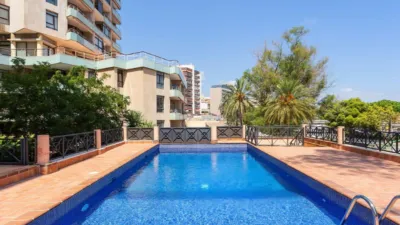 Apartment in Porto Pi photo 15