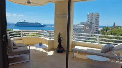 Apartment in Porto Pi photo 3