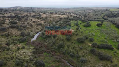 Finca rústica en venta en Villar del Pedroso - Vista 5