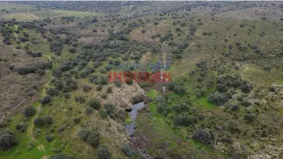 Finca rústica en venta en Villar del Pedroso - Vista 6