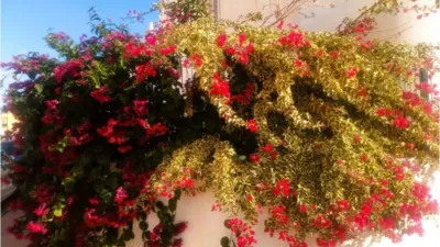 Penthouse in Palomares photo 19