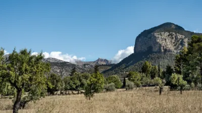 Rustic House in Alaró photo 10