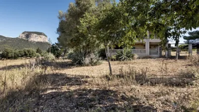 Rustic House in Alaró photo 12