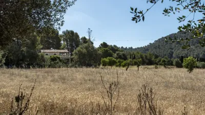 Rustic House in Alaró photo 13