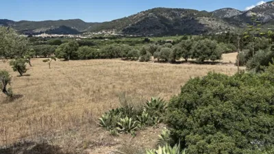 Rustic House in Alaró photo 14