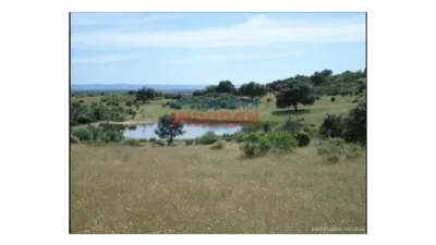 Finca rústica en venta en Río Tinto-Aldea Moret-La Cañada - Vista 4