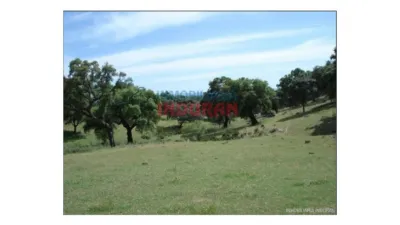 Finca rústica en venta en Río Tinto-Aldea Moret-La Cañada - Vista 5